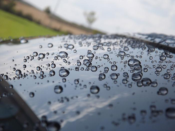 water beaded on windshield